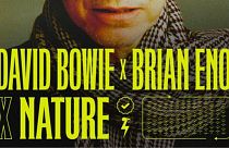 Earth Day: David Bowie Featuring Mother Nature - What is Sounds Right?  