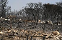 أشجار محترقة وسيارة بعد اندلاع حريق في ماندرا، غرب أثينا، يوم الأربعاء 19 يوليو 2023. 