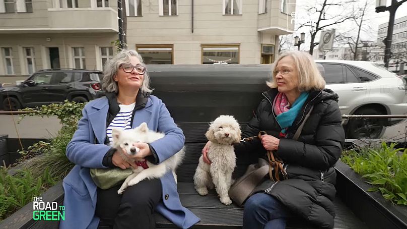 Em Berlim, um grupo de cidadãos tornou a sua rua mais verde