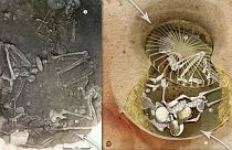 بقایای کشف شده از زنان قربانی مراسم آئینی