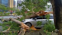 سيارة تضررت بسبب سقوط جذوع الأشجار في أعقاب العواصف الشديدة في مدينة تشينغيوان بمقاطعة قوانغدونغ جنوبي الصين يوم الاثنين