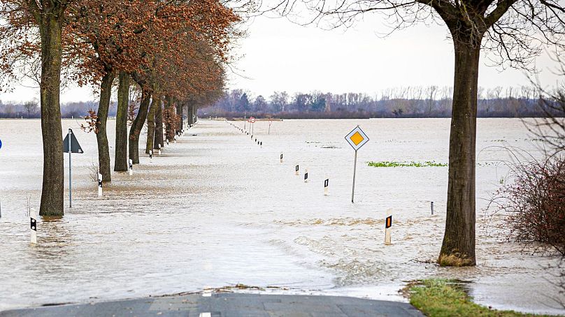 A road in the district of Nienburg-Weser is flooded in Drakenburg, Germany, 28 December 2023.