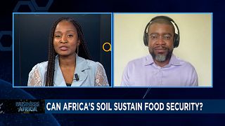 Can Africa’s soil sustain food security? [Business Africa]