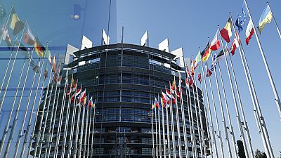 Foreign European Parliament