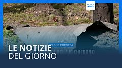 Le notizie del giorno | 24 aprile - Mattino