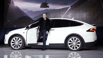 Elon Musk, CEO of Tesla Motors (file photo)