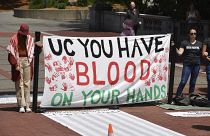 Protestas de estudiantes universitarios en EE.UU. 