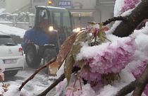 Schnee in Kroatien bereitet Obstbauern Sorgen