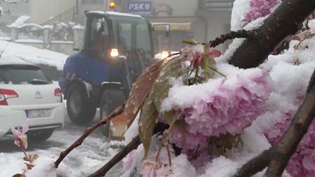 Schnee in Kroatien bereitet Obstbauern Sorgen