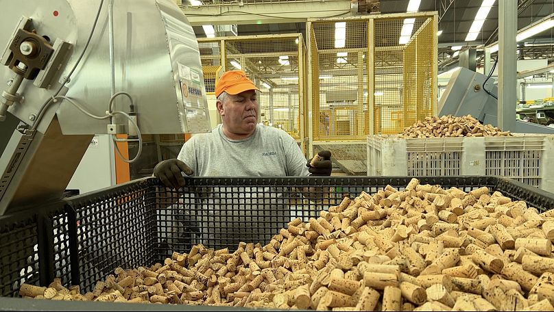 A worker in one of Amorim cork factories in Santa Maria de Lamas checks the quality of natural cork stoppers.
