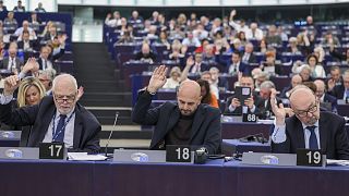 Os membros do Parlamento Europeu a favor da votação do Grupo ECR durante uma sessão plenária em Estrasburgo,