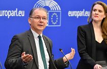 Co-presidents of the Green group of MEPs Philippe Lamberts (left) and Terry Reintke. 