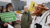 A protest in February outside the European Parliament in Strasbourg. 'Regulate New GMOs', reads the placard.