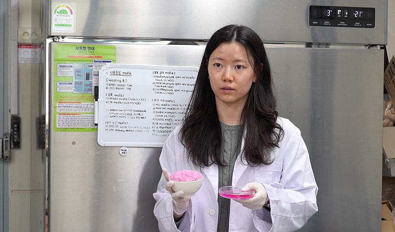Milae Lee, investigadora del Departamento de Ingeniería Química y Biomolecular de la Universidad de Yonsei, muestra el "arroz híbrido" a 'Euronews Health'.