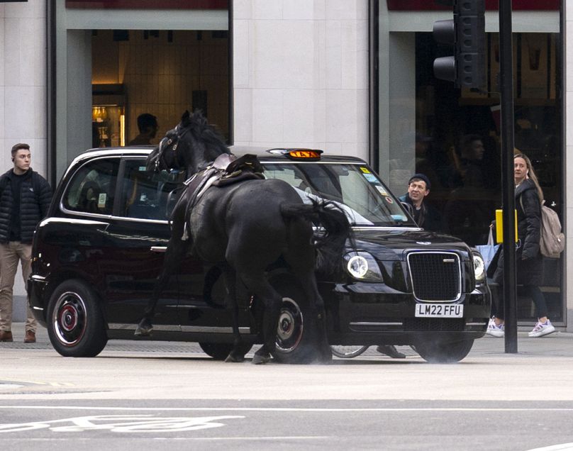 A horse collides with a taxi in central London on Wednesday