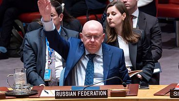 Russian Permanent Representative to the UN Vassily Nebenzia