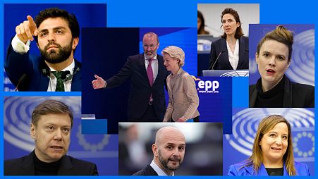 The leaders of the verious political groups in the European Parliament. 