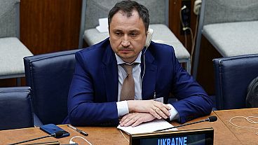 Il ministro ucraino dell'Agricoltura Mykola Solsky