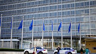 Commissione europea a Bruxelles