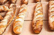 Award for the best baguette in Paris announced    