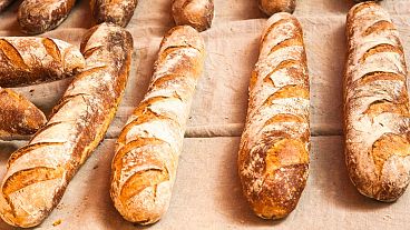 Award for the best baguette in Paris announced    