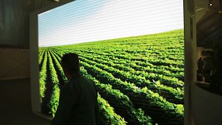 Agriculture fair opens in drought-hit Morocco with focus on sustainability
