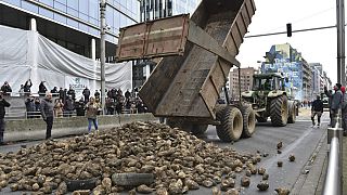 Agricultores despejam batatas em ponto de destaque em Bruxelas durante protesto em março