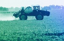 A soybean field is sprayed in Iowa, July 2013