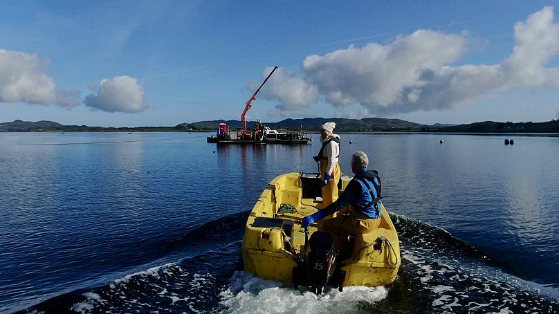 Lorraine and Jerry Gallagher at their seaweed farm