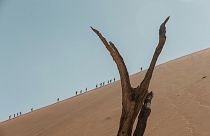 The Big Daddy dune is a popular - and steep - climbing spot in Namibia