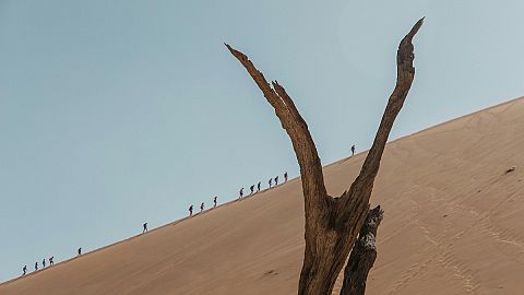 The Big Daddy dune is a popular - and steep - climbing spot in Namibia