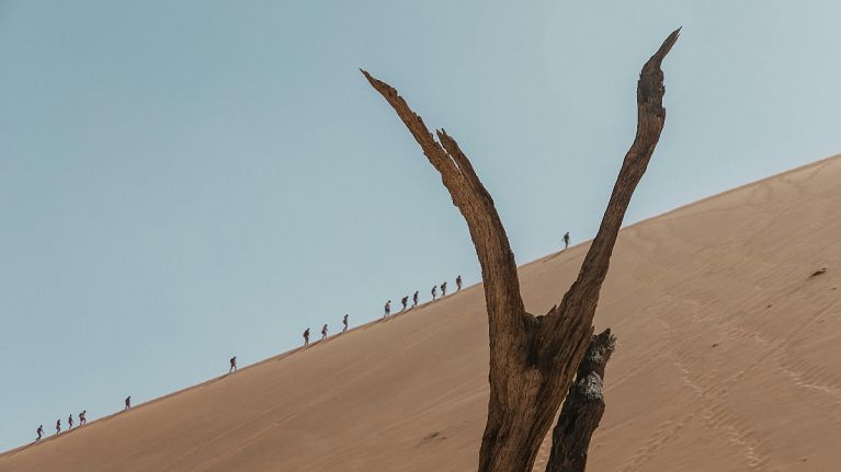 The Big Daddy dune is a popular - and steep - climbing spot in Namibia