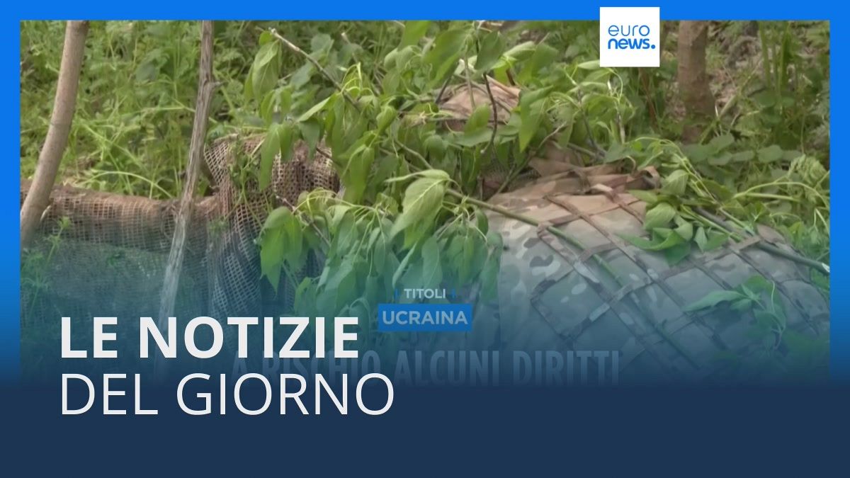 Le notizie del giorno | 29 aprile - Serale