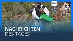 Nachrichten des Tages | 29. April - Abendausgabe