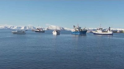Halászhajók zárják le egy norvég kikötő bejáratát