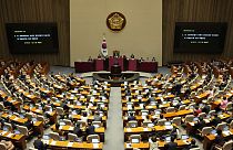 Güney Kore Parlamentosu 2022'deki Cadılar bayramı izdihamının yeniden soruşturulmasını kabul etti