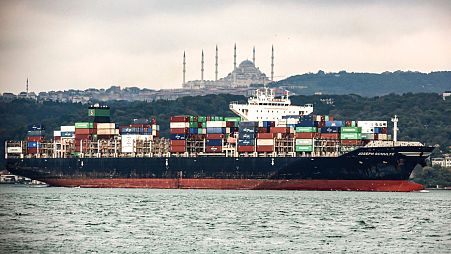 عبور کشتی تجاری از تنگه بسفر در استانبول (عکس از آرشیو)