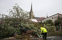 A man saws a tree that fell on a parking lot Thursday, Nov. 2, 2023 in Hasparren, southwestern France.