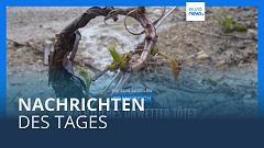Nachrichten des Tages | 3. Mai - Abendausgabe