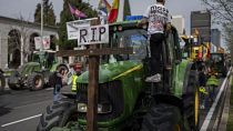 Un trattore trasporta una croce con su scritto “Riposa in pace” durante una protesta degli agricoltori a Madrid  in Spagna (17 marzo 2024)