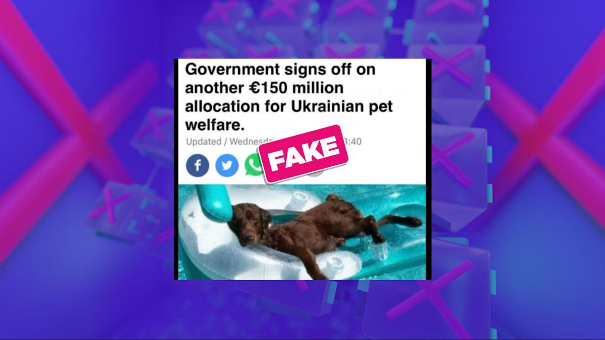 No, this RTÉ headline on Irish funds for Ukrainian pets isn’t real thumbnail
