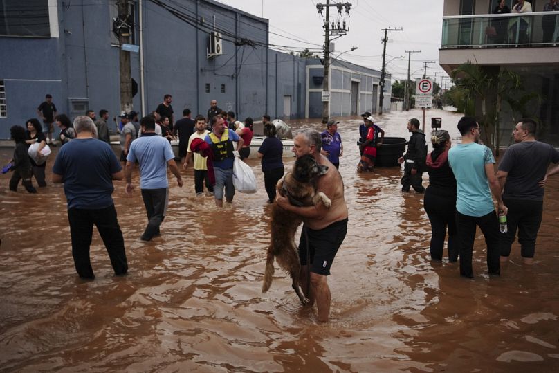 Residents and dogs evacuate from a neighborhood flooded by heavy rains, in Canoas, Rio Grande do Sul state, Brazil