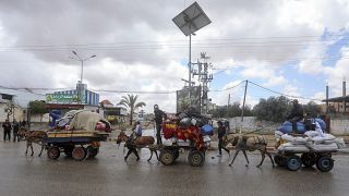 Guerre Israël-Hamas : après Gaza, les Palestiniens fuient Rafah