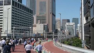 Paseo peatonal en la Autopista de Tokio