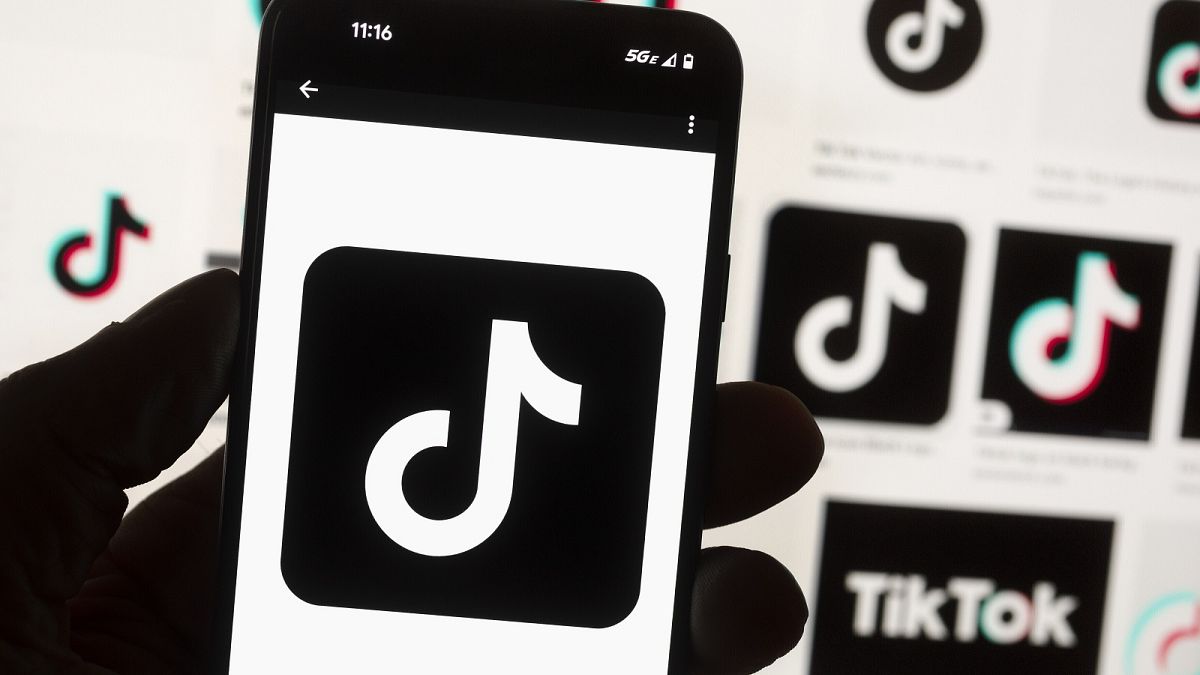 TikTok sues US to block new ban law citing threat to free speech