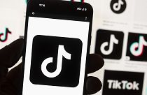 TikTok and its Chinese parent company ByteDance filed suit against the US federal government to challenge a law that would force the sale of ByteDance's stake or face a ban.