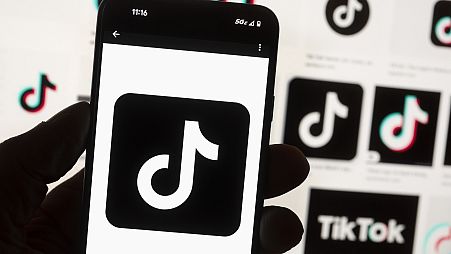 TikTok and its Chinese parent company ByteDance filed suit against the US federal government to challenge a law that would force the sale of ByteDance's stake or face a ban.