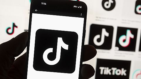 TikTok and its Chinese parent company ByteDance filed suit against the US federal government to challenge a law that would force the sale of ByteDance's stake or face a ban.