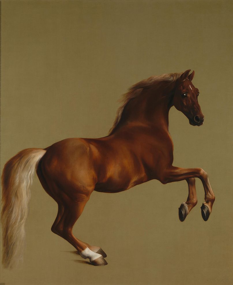 "Whistlejacket" by George Stubbs, c. 1762