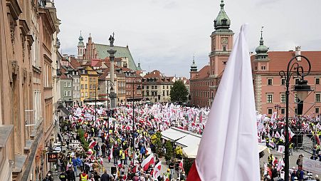 Wenige Wochen vor den Europawahlen haben polnische Landwirte im Zentrum von Warschau gegen die Agrar- und Umweltpolitik der EU demonstriert.